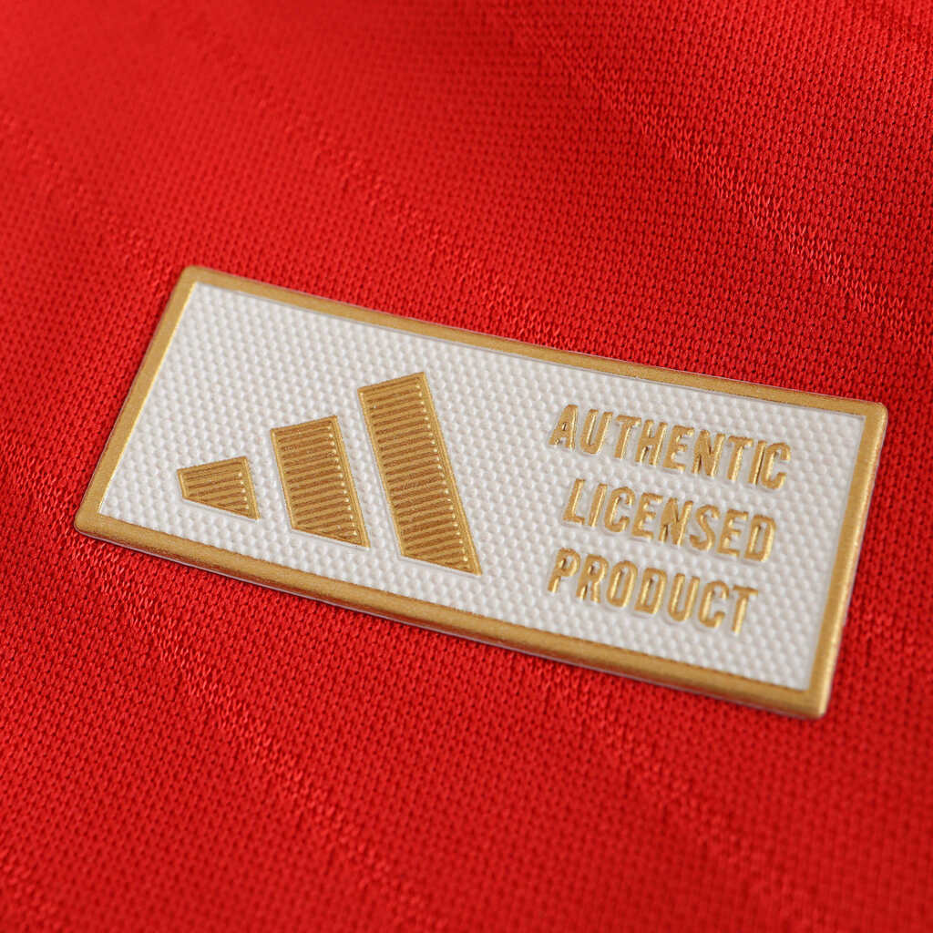 Camisa I Benfica 2024/25 Masculina