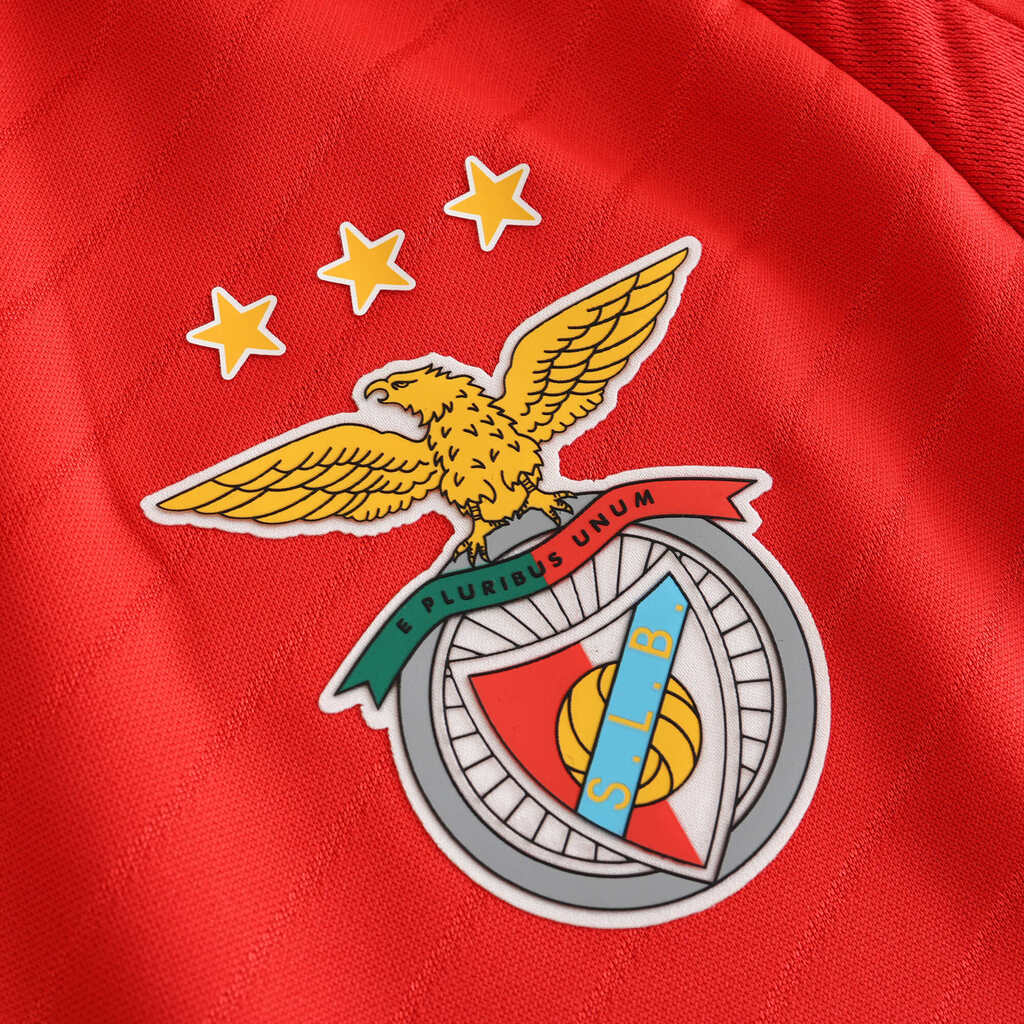 Camisa I Benfica 2024/25 Masculina
