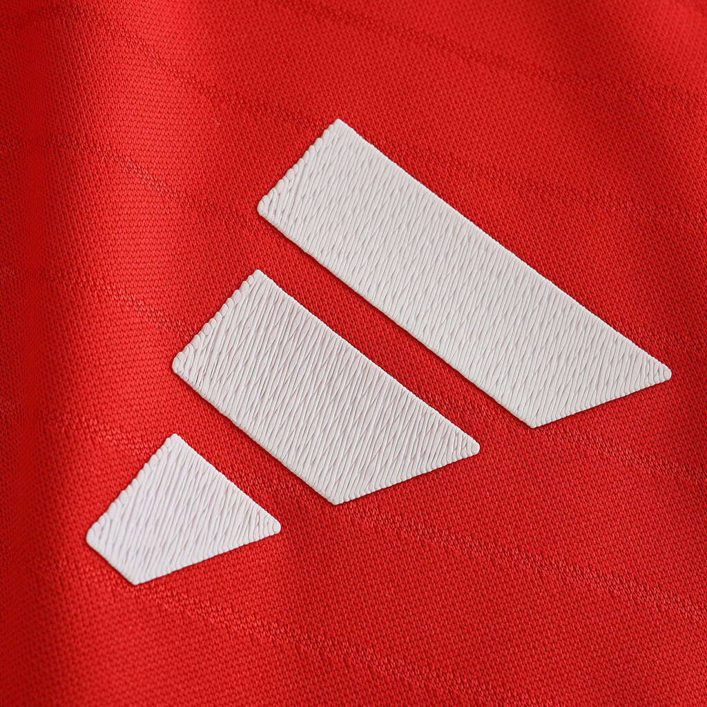 Camisa I Benfica 2024/25 Masculina