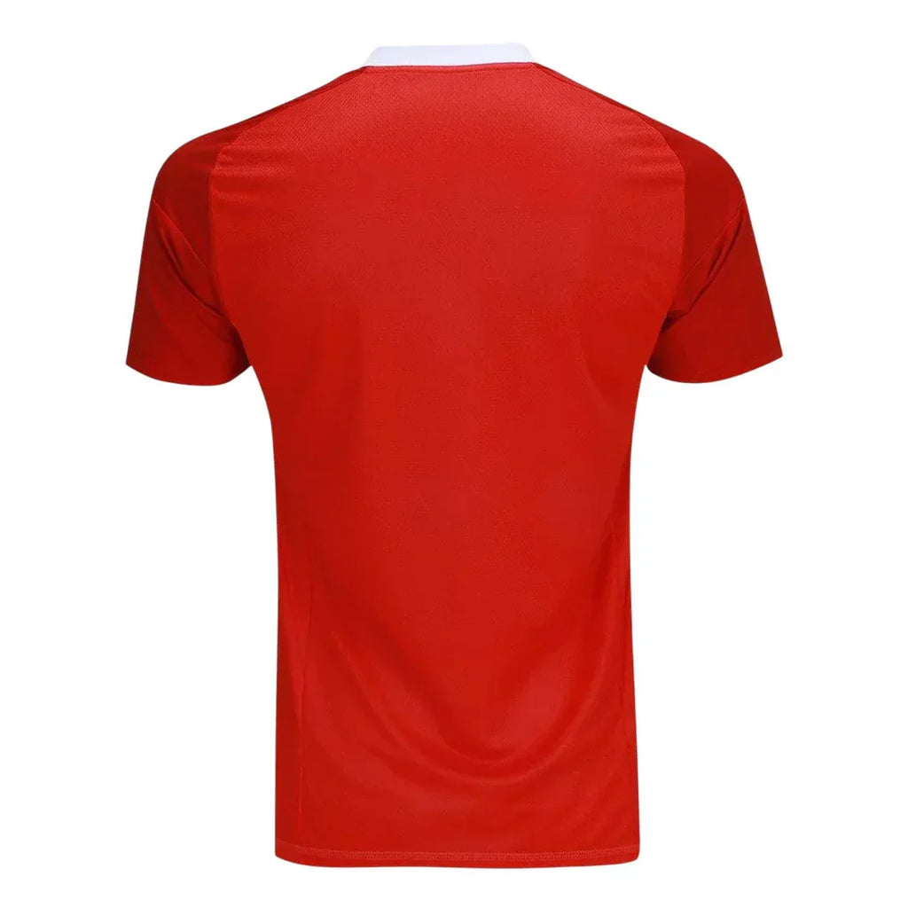 Camisa Flamengo Goleiro 2025/26 Masculina