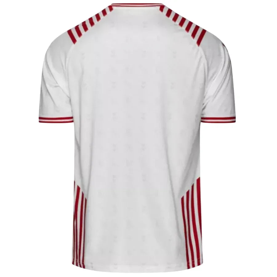 Camisa Dinamarca Edição Especial 2022 2022 Masculina