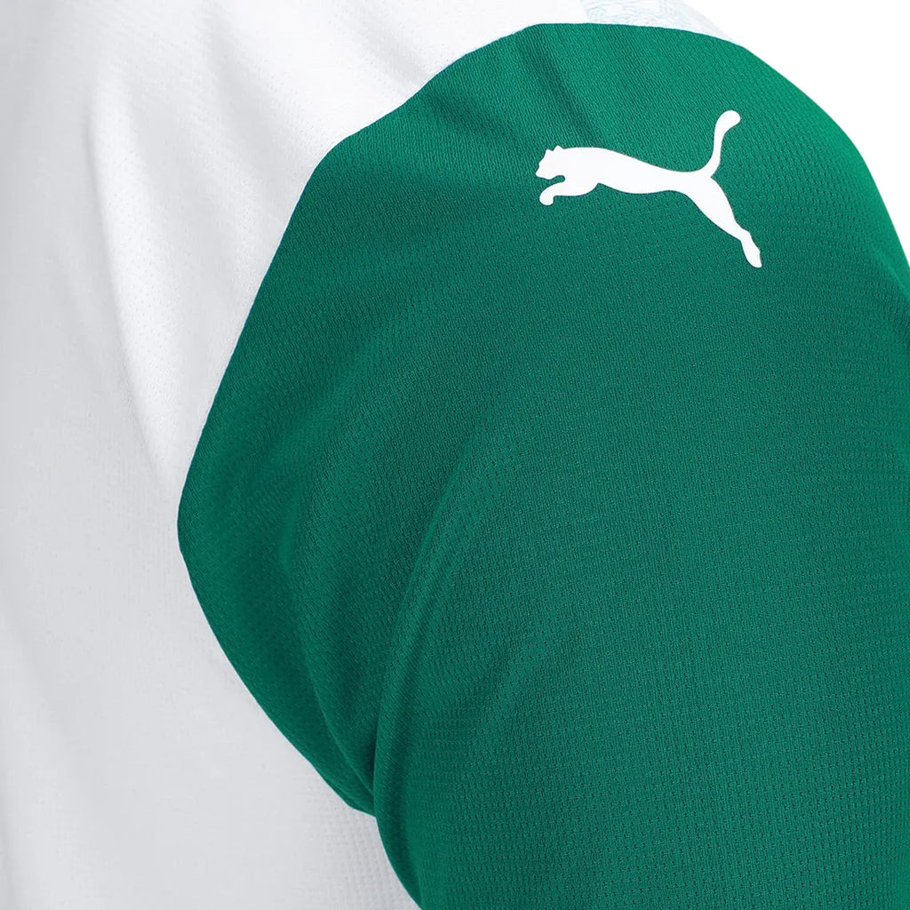 Camisa II Palmeiras 2025/26 Masculina