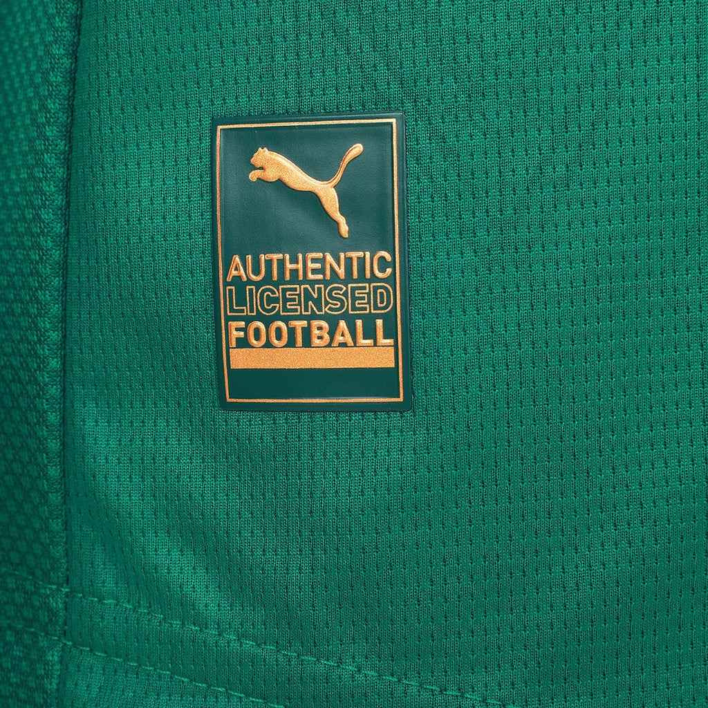 Camisa I Palmeiras 2025/26 Jogador Masculina