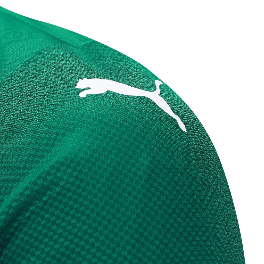 Camisa I Palmeiras 2025/26 Jogador Masculina