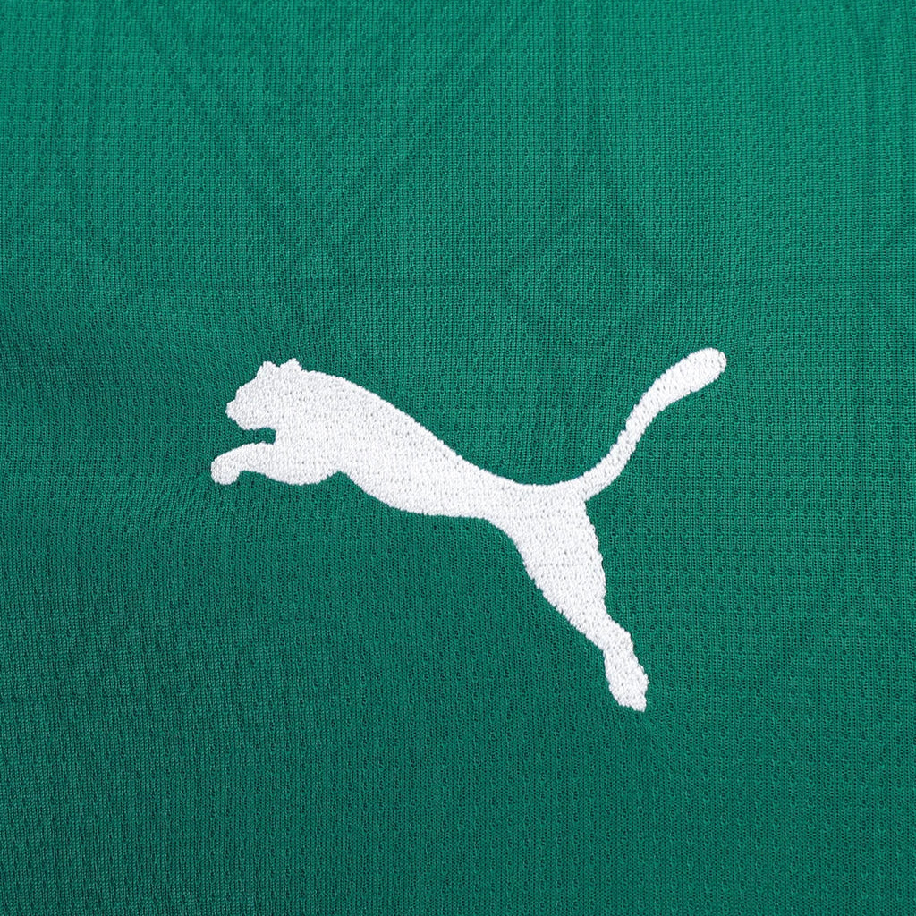 Camisa I Palmeiras 2025/26 Masculina
