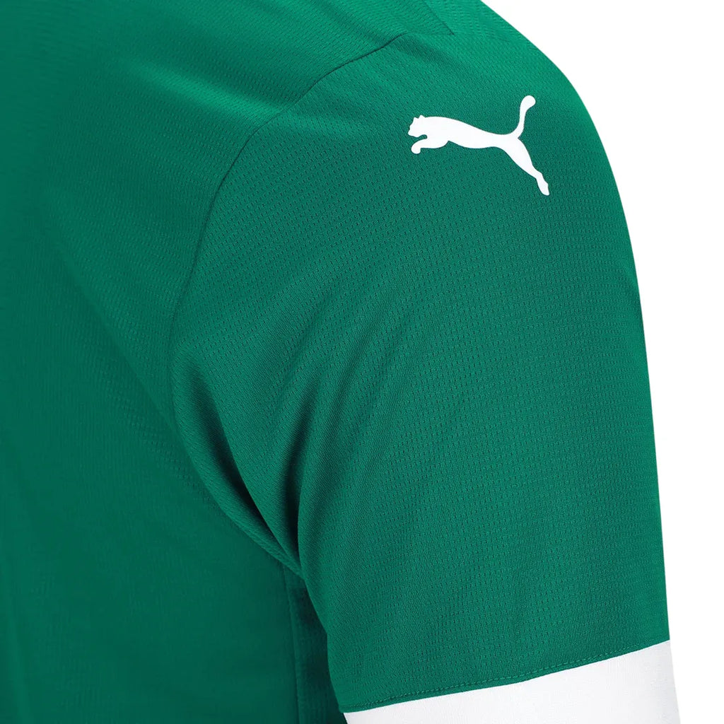 Camisa I Palmeiras 2025/26 Masculina