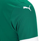 Camisa I Palmeiras 2025/26 Masculina