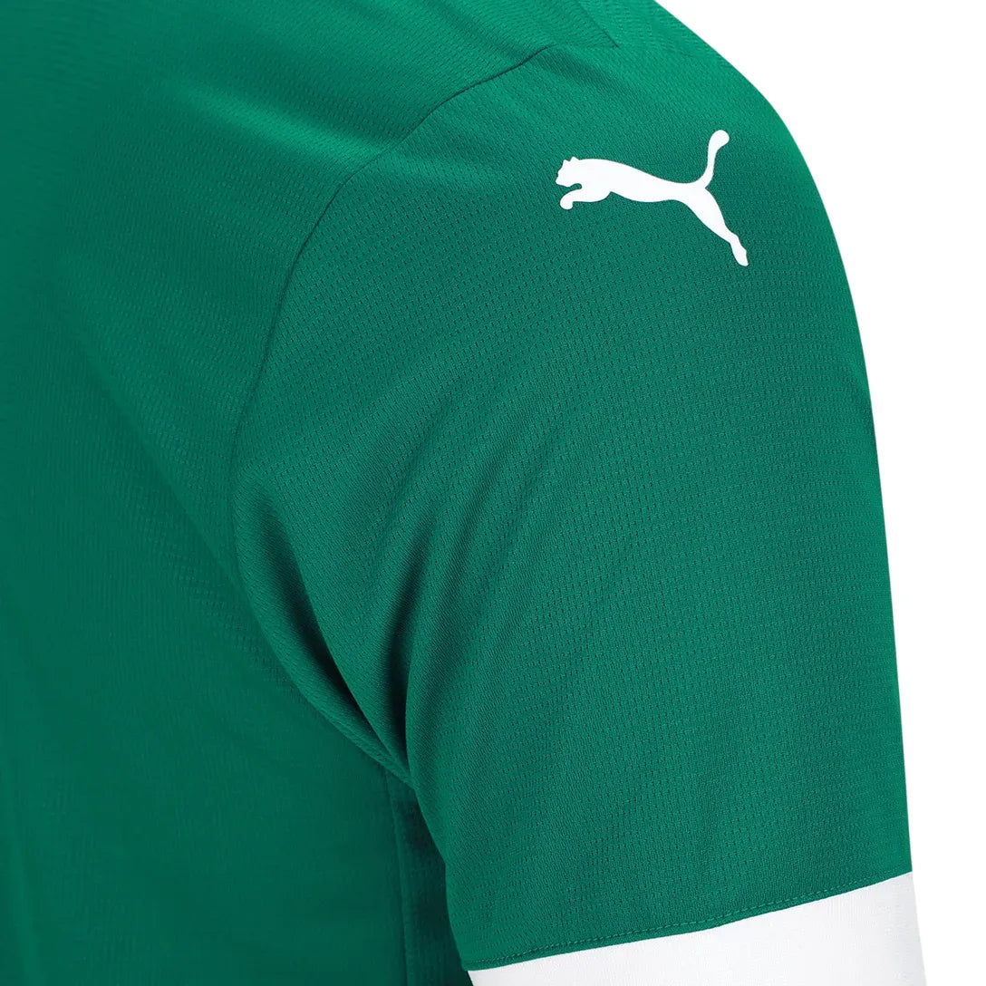 Camisa I Palmeiras 2025/26 Masculina