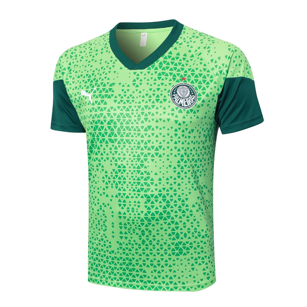 Conjunto Palmeiras Treino 2024/25 Masculino