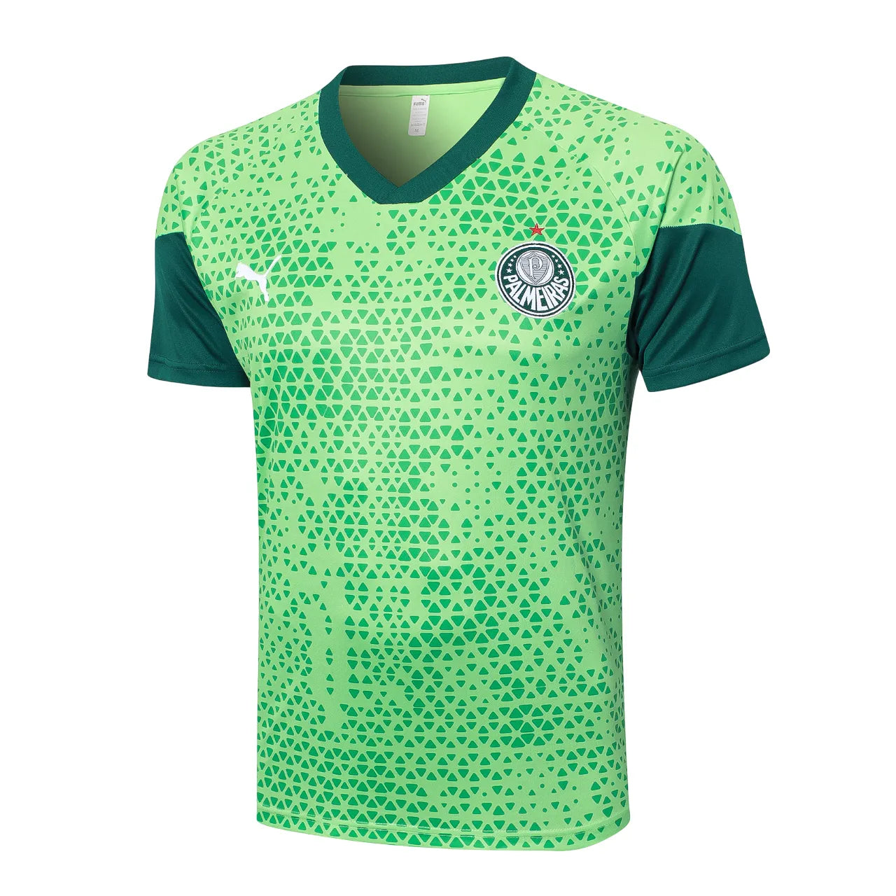 Conjunto Palmeiras Treino 2024/25 Masculino