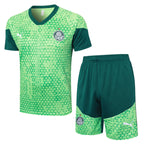 Conjunto Palmeiras Treino 2024/25 Masculino