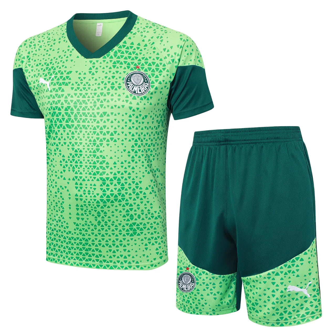 Conjunto Palmeiras Treino 2024/25 Masculino