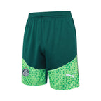 Conjunto Palmeiras Treino Regata 2024/25 Masculino