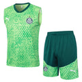 Conjunto Palmeiras Treino Regata 2024/25 Masculino