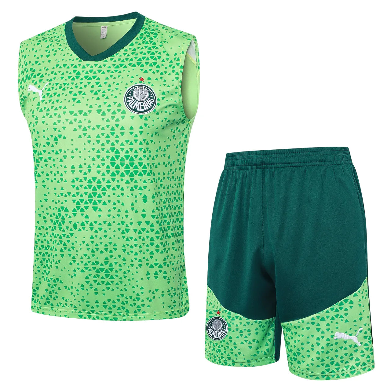 Conjunto Palmeiras Treino Regata 2024/25 Masculino