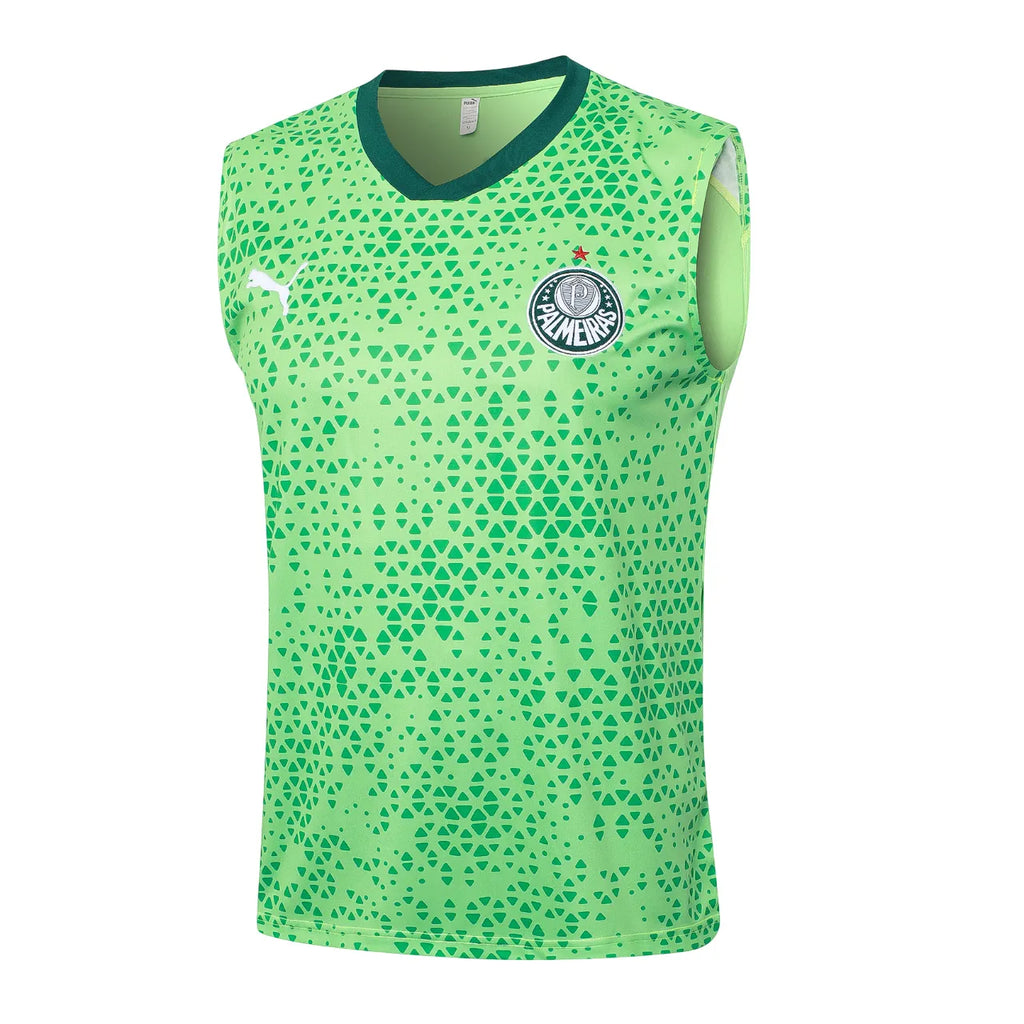 Conjunto Palmeiras Treino Regata 2024/25 Masculino