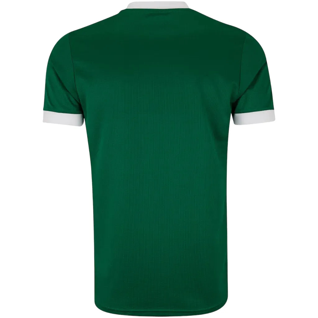 Camisa I Palmeiras 2025/26 Masculina