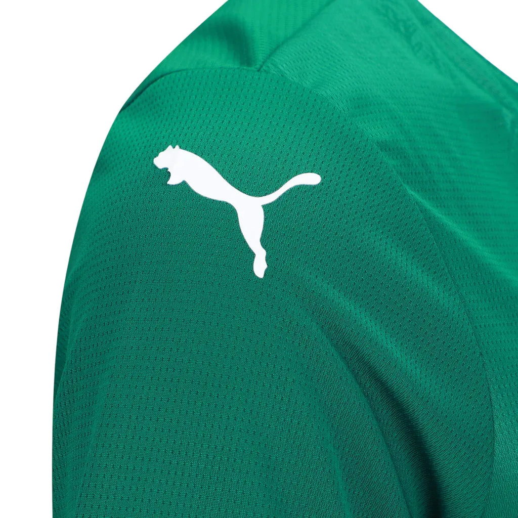 Camisa I Palmeiras 2025/26 Feminina