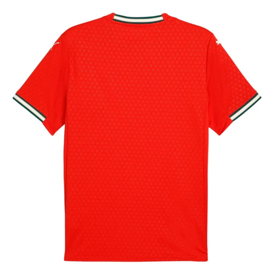 Camisa Portugal 2025 Masculina