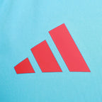 Camisa Regata Flamengo Treino 2025/26 Masculina