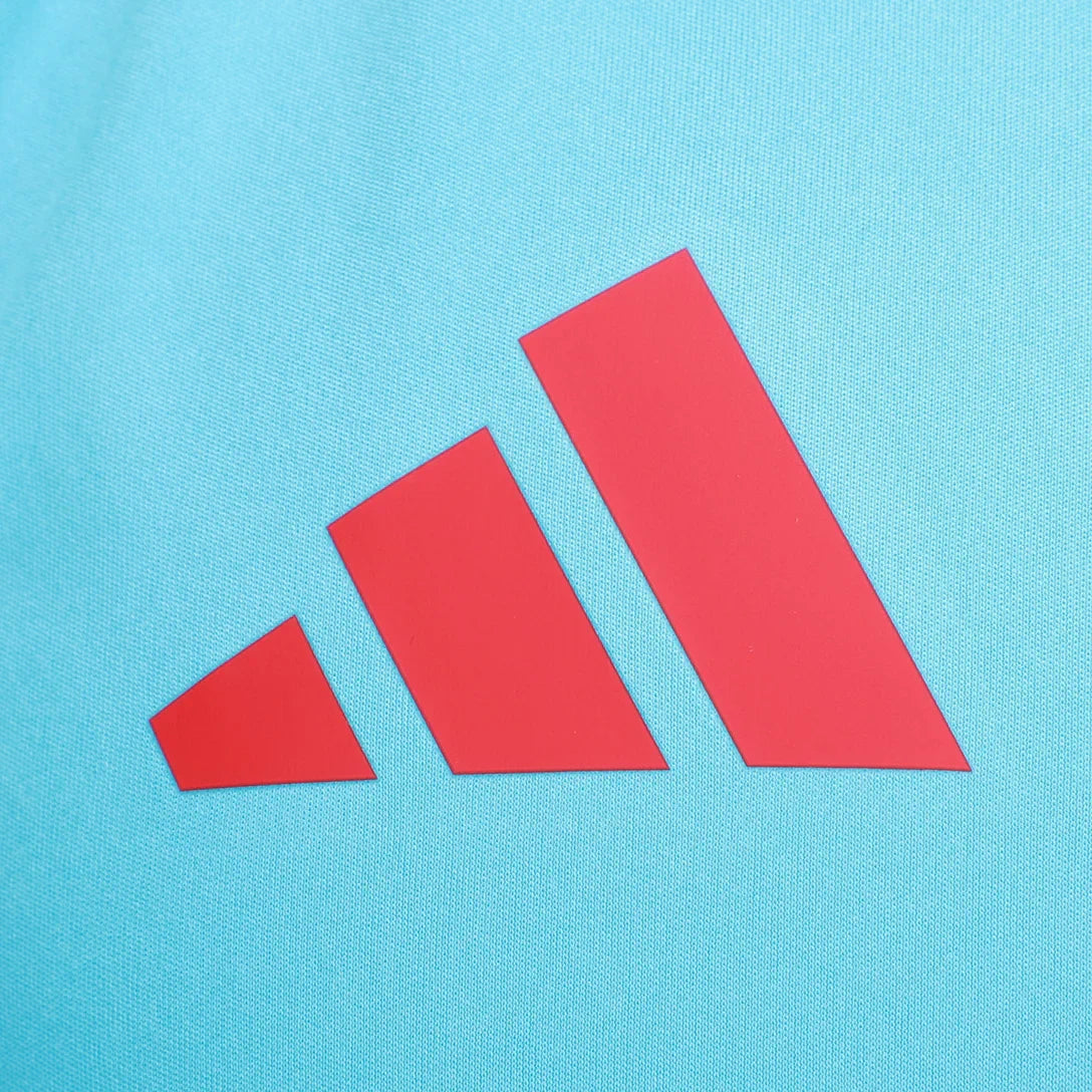 Camisa Regata Flamengo Treino 2025/26 Masculina