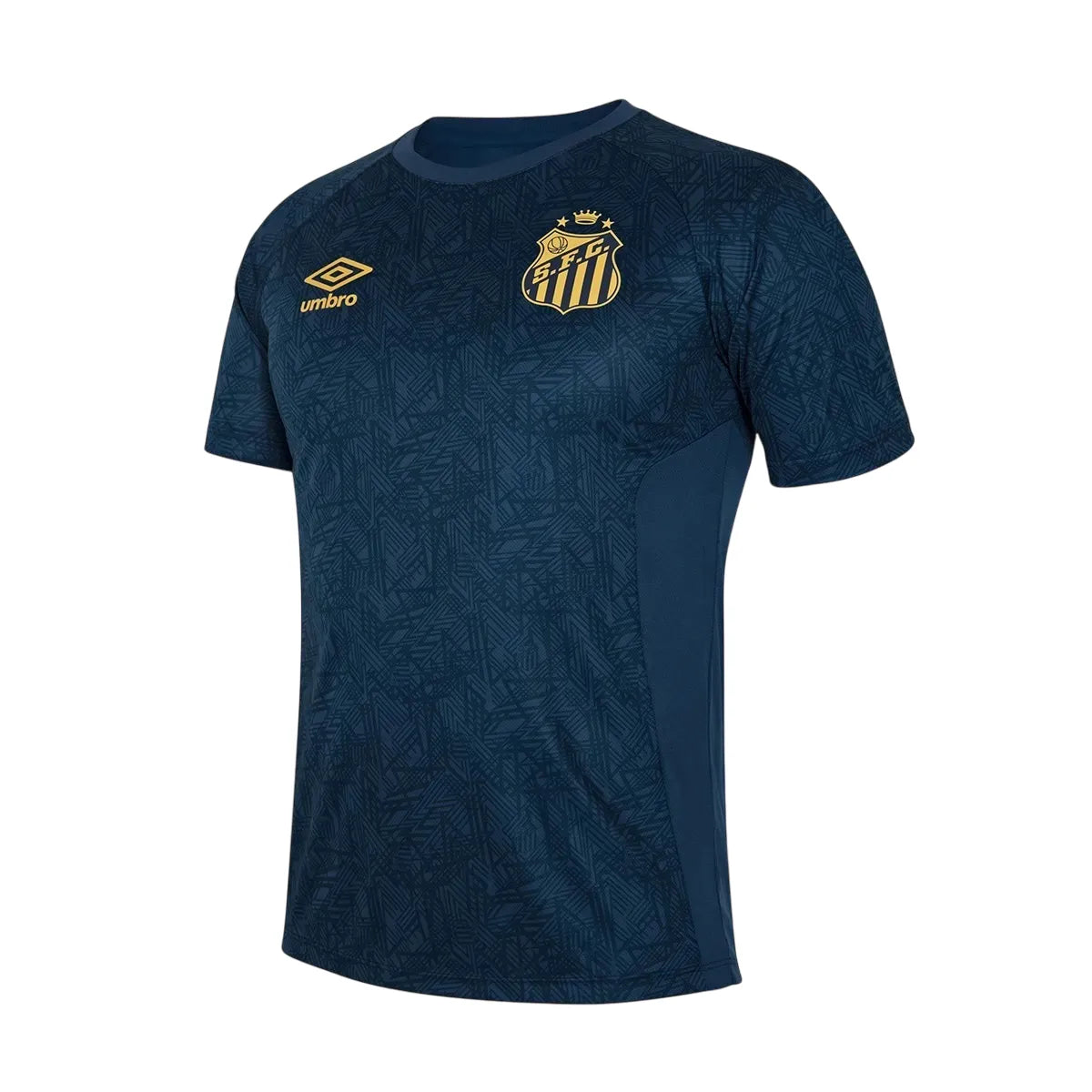 Camisa Santos Treino 2024/25 Masculina