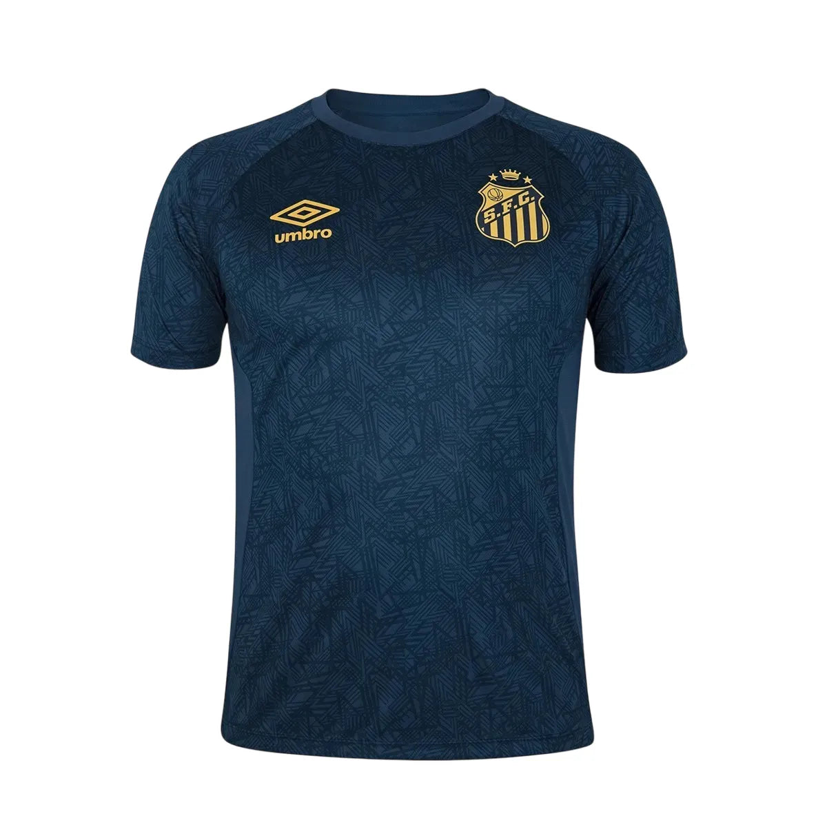 Camisa Santos Treino 2024/25 Masculina