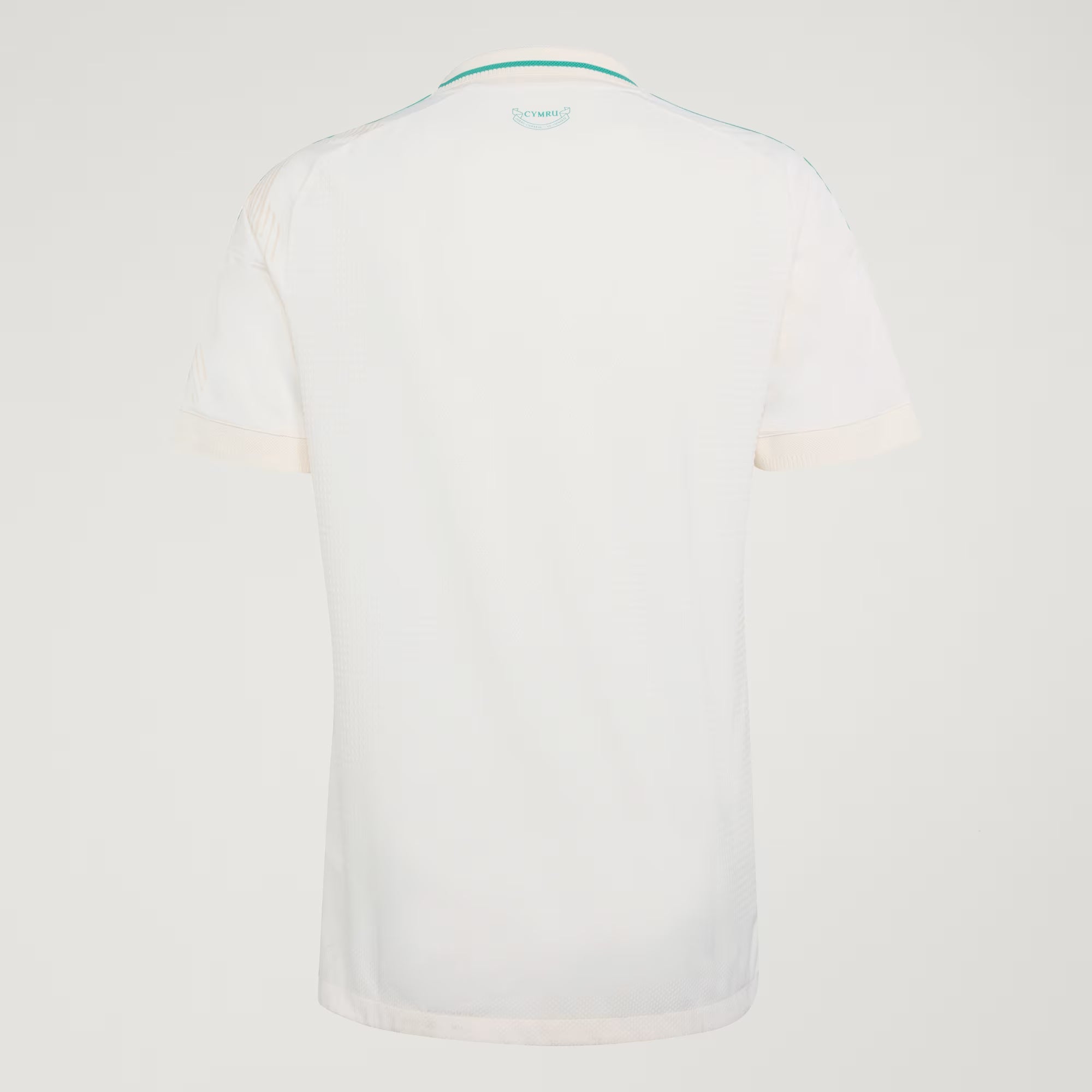 Camisa II País Gales 2026/27 Jogador Masculina