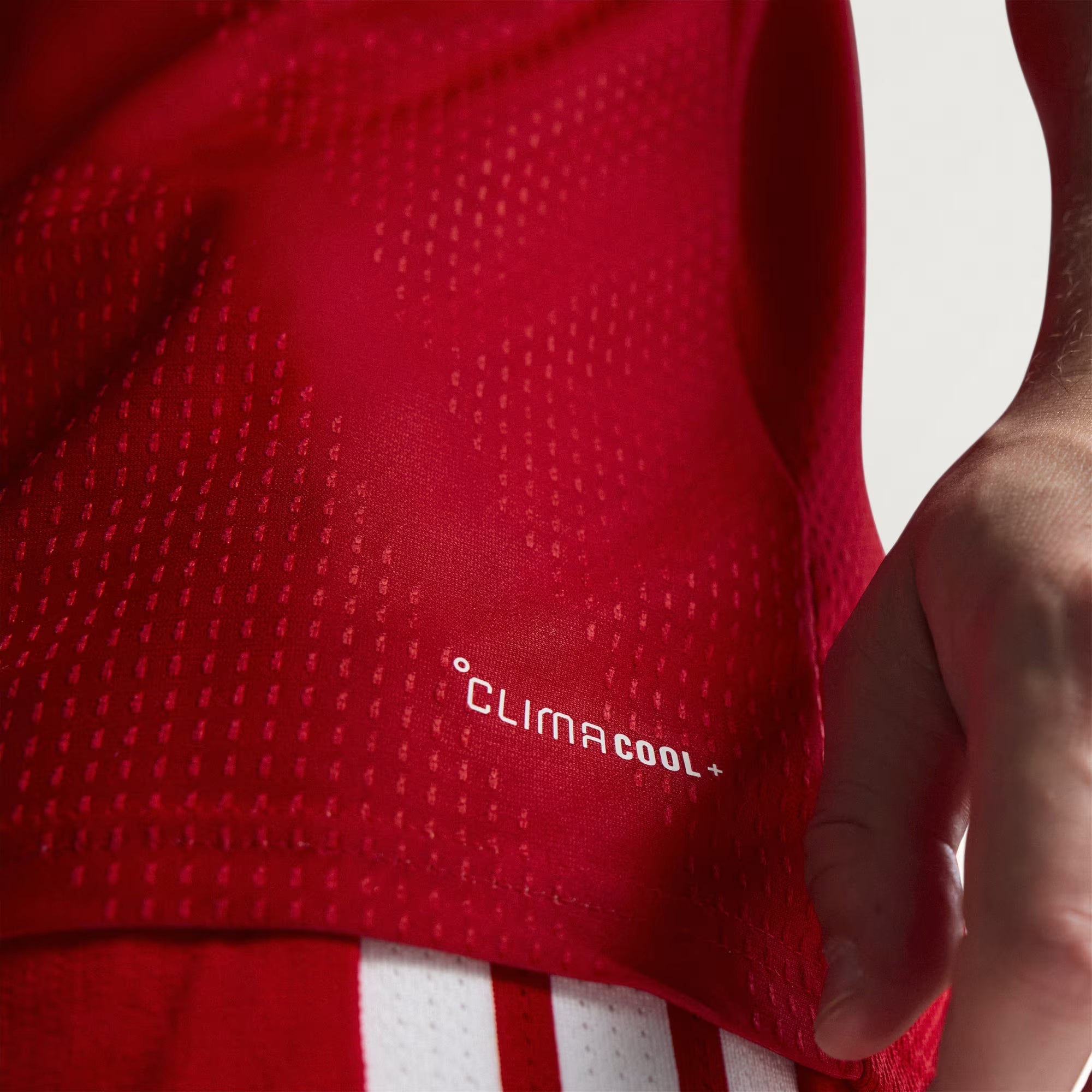 Camisa I País Gales 2026/27 Jogador Masculina