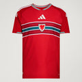 Camisa I País Gales 2026/27 Jogador Masculina