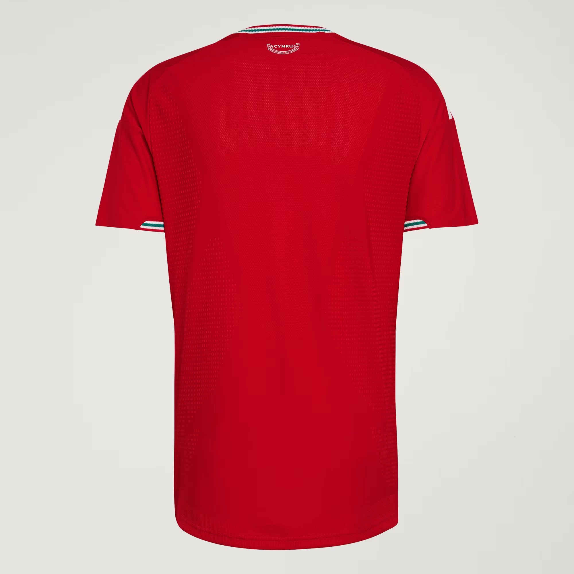 Camisa I País Gales 2026/27 Jogador Masculina