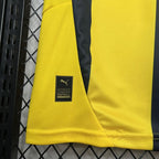 Camisa Fenerbahçe 2024/25 Masculina
