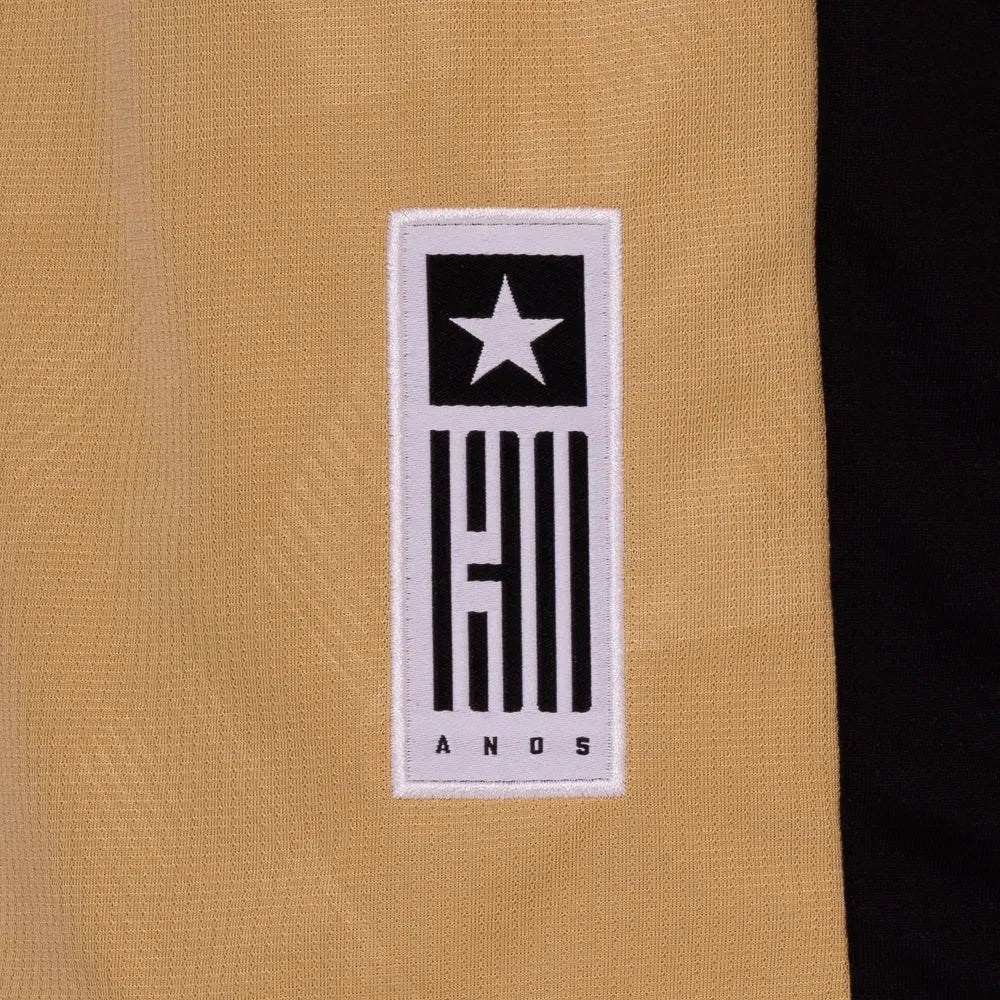 Camisa II Botafogo Goleiro 2024/25 Masculina