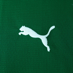 Camisa Verdão Titular 2026/27 Masculina
