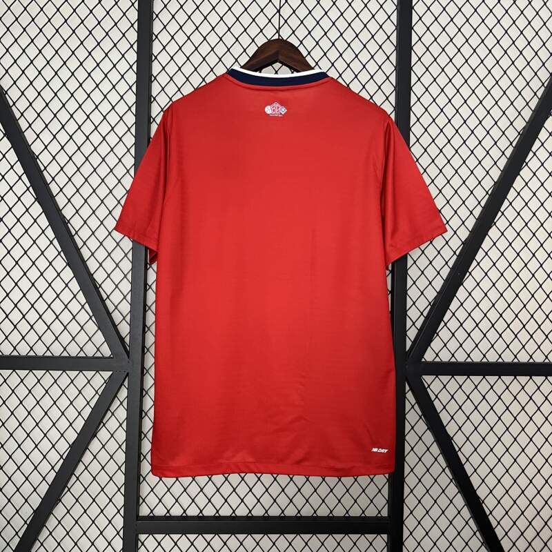 Camisa I Lille 2024/25 Masculina